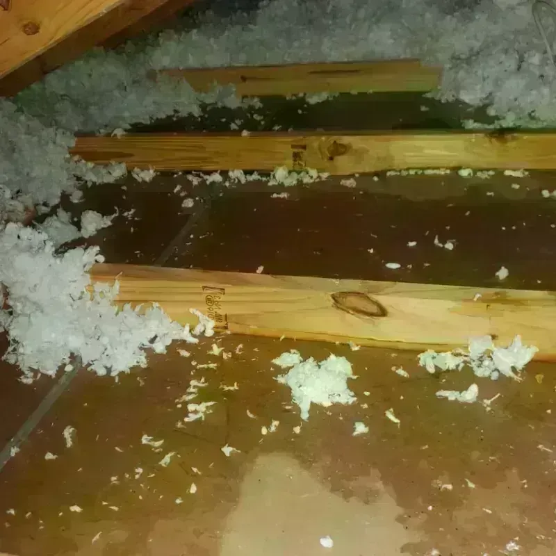 Attic Water Damage in Franklin, KY