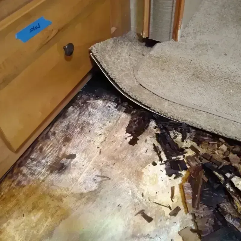 Wood Floor Water Damage in Franklin, KY